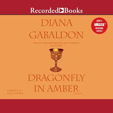 Picture _ Audio Cover Dragonfly in Amber
